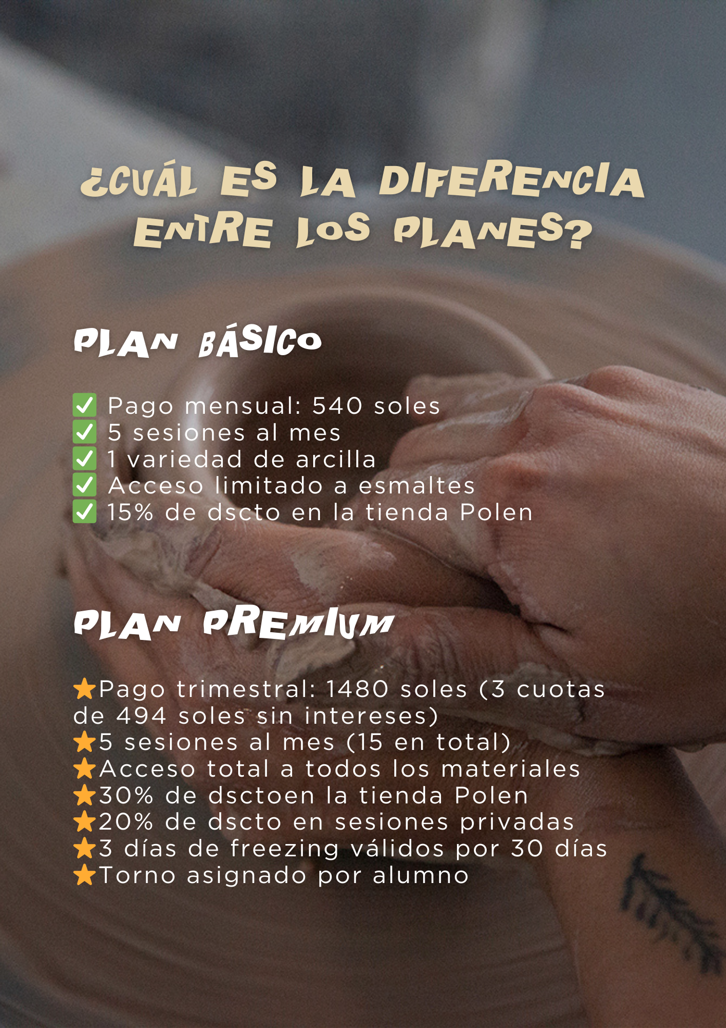 Plan Premium - Construcción en torno