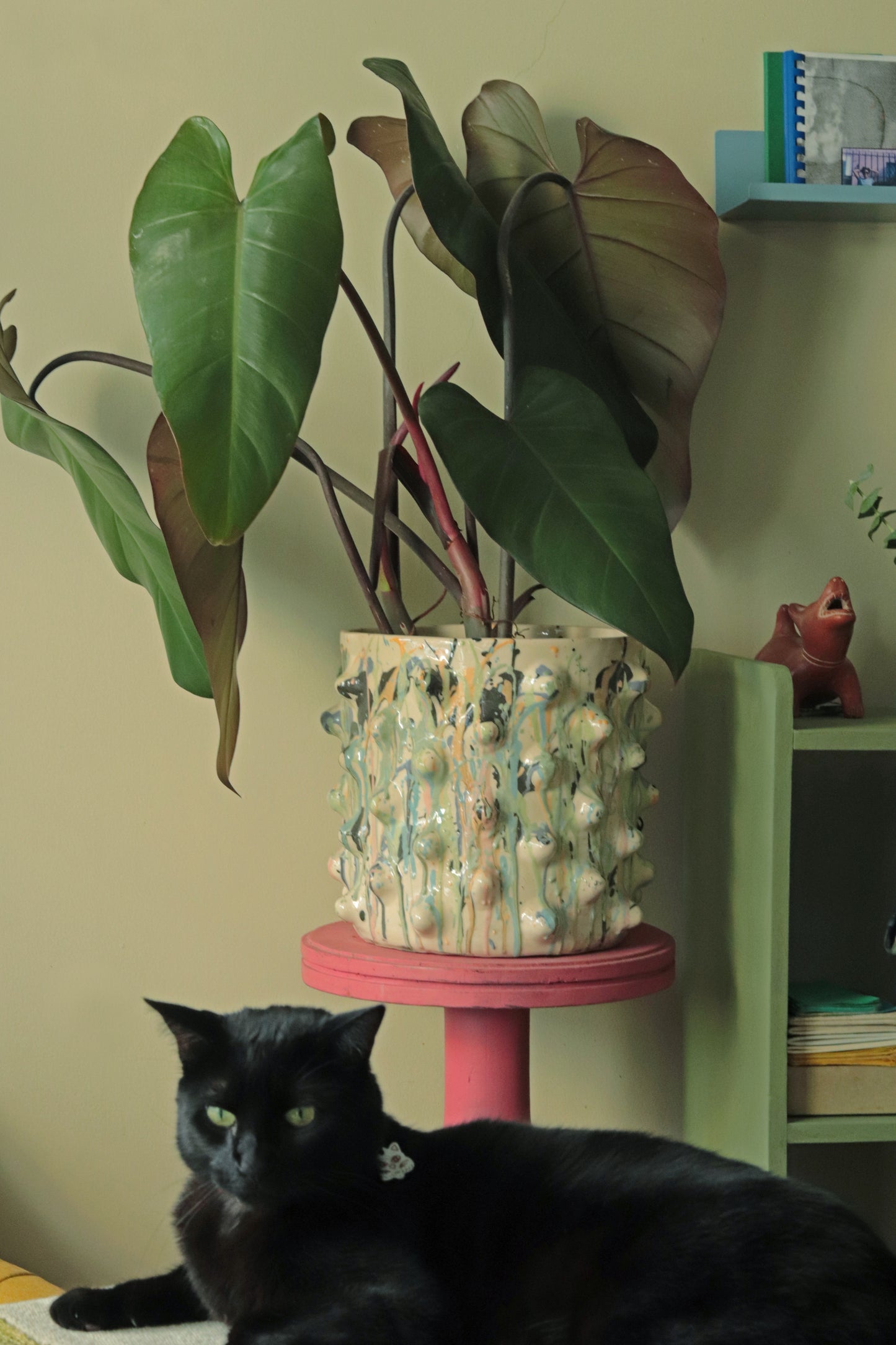 Pack regalo -  MACETA